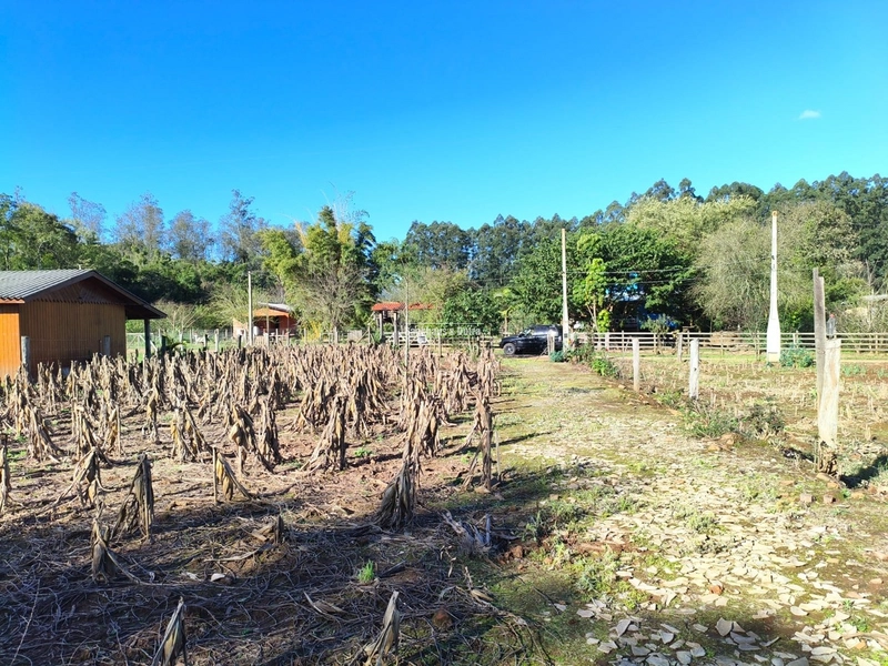 Rolante - Chácara 1 Hectare - Alto Rolante: 3ª foto da galeria de imagens do imóvel
