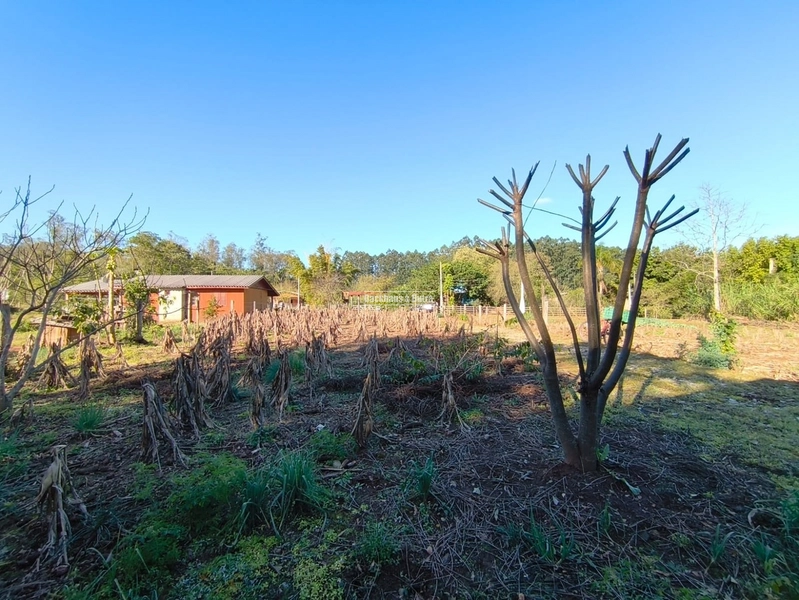 Rolante - Chácara 1 Hectare - Alto Rolante: 9ª foto da galeria de imagens do imóvel