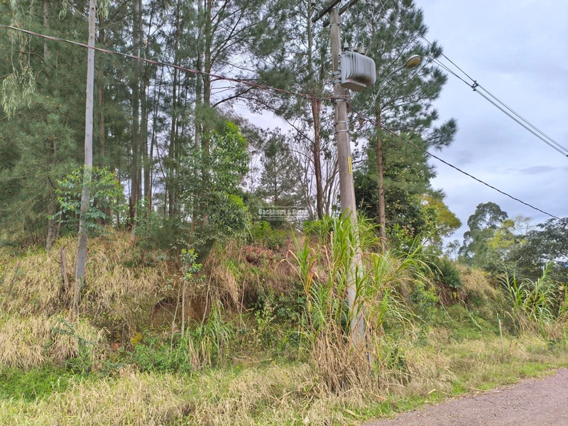: 1ª foto da galeria de imagens do imóvel