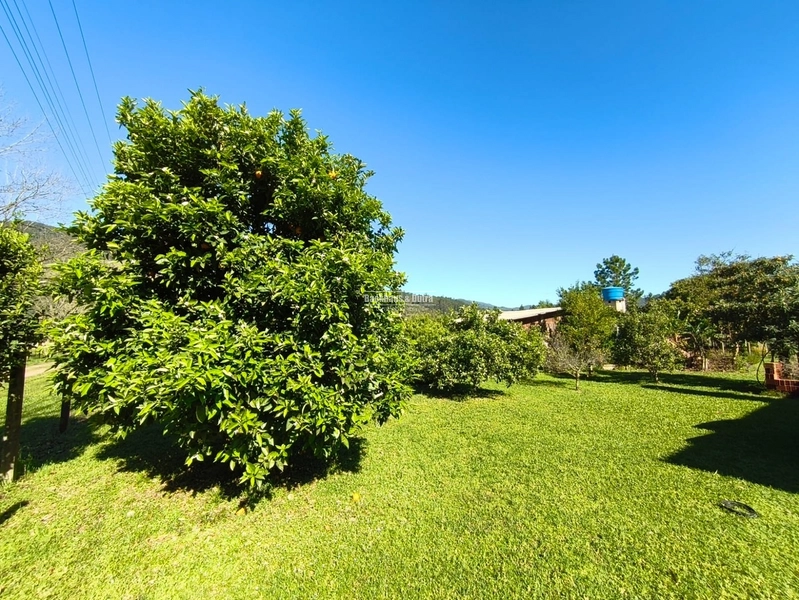 Rolante - Chácara com 1.600m²  na localidade da Mascarada.: 2ª foto da galeria de imagens do imóvel