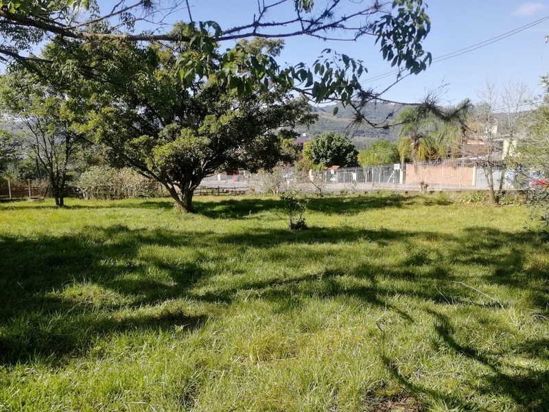 Rolante- Terreno 560 m²- Rio Branco: 1ª foto da galeria de imagens do imóvel