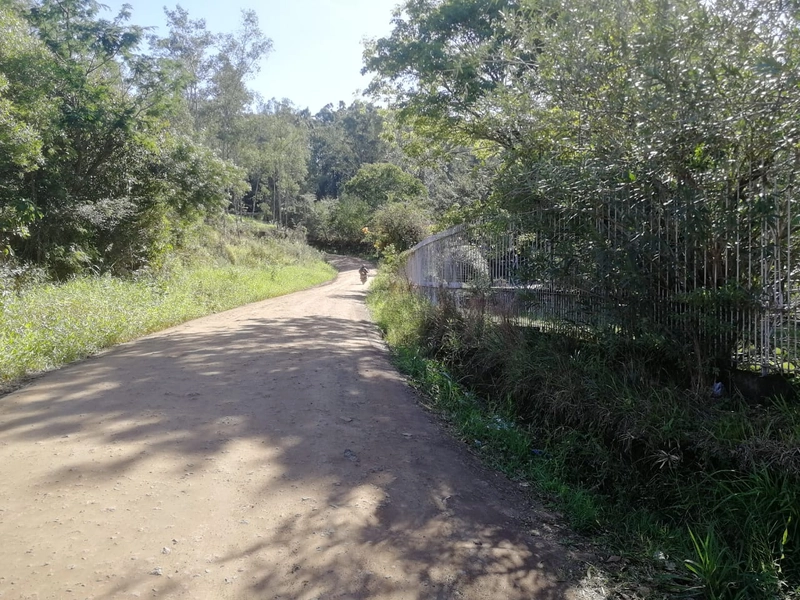 Rolante- Terreno 560 m²- Rio Branco: 3ª foto da galeria de imagens do imóvel