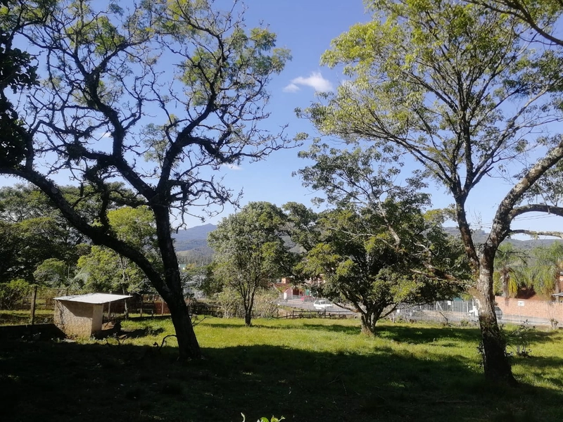 Rolante- Terreno 560 m²- Rio Branco: 4ª foto da galeria de imagens do imóvel