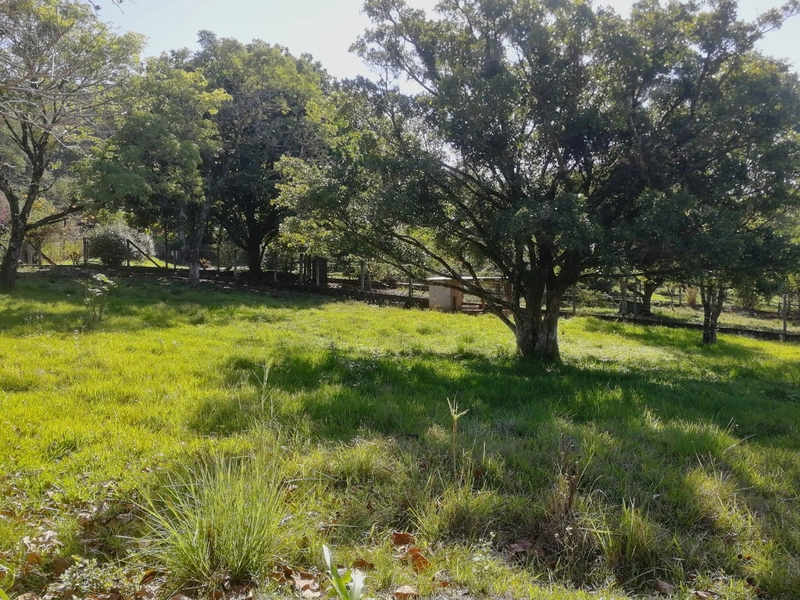 Rolante- Terreno 560 m²- Rio Branco: 5ª foto da galeria de imagens do imóvel