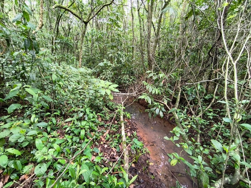 : 14ª foto da galeria de imagens do imóvel