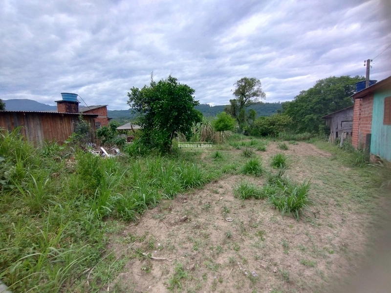 Rolante - Sítio Próximo à Cidade com Área para Cultivo e Loteamento: 11ª foto da galeria de imagens do imóvel