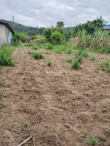 Rolante - Sítio Próximo à Cidade com Área para Cultivo e Loteamento: 12ª foto da galeria de imagens do imóvel