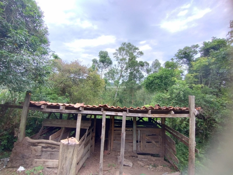 Rolante - Sítio Próximo à Cidade com Área para Cultivo e Loteamento: 8ª foto da galeria de imagens do imóvel