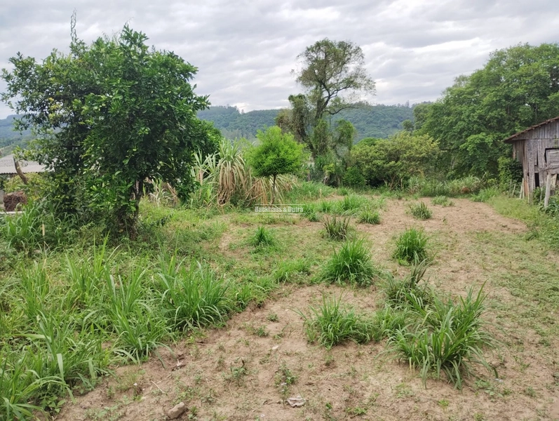 Rolante - Sítio Próximo à Cidade com Área para Cultivo e Loteamento: 10ª foto da galeria de imagens do imóvel