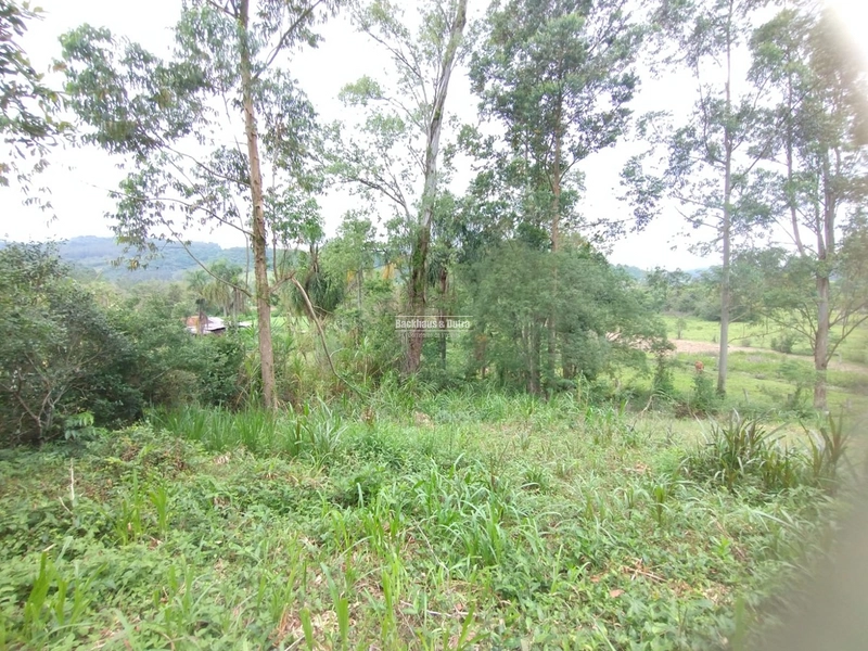 Rolante - Sítio Próximo à Cidade com Área para Cultivo e Loteamento: 13ª foto da galeria de imagens do imóvel