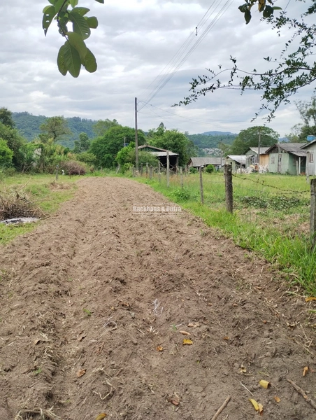 Rolante - Sítio Próximo à Cidade com Área para Cultivo e Loteamento: 5ª foto da galeria de imagens do imóvel