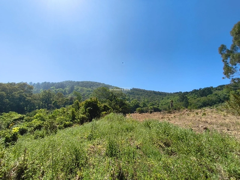 Rolante - Sítio de 30 Hectares com Infraestrutura Agrícola e Pecuária: 31ª foto da galeria de imagens do imóvel