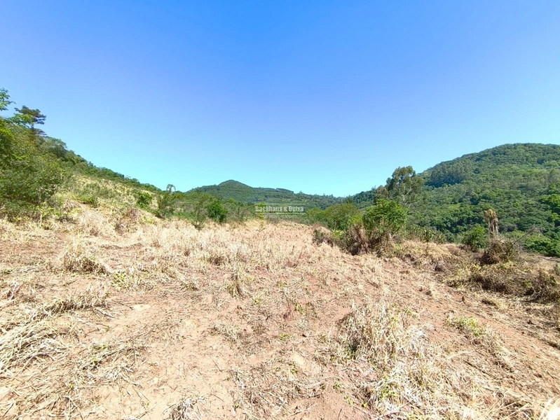 Rolante - Sítio de 30 Hectares com Infraestrutura Agrícola e Pecuária: 29ª foto da galeria de imagens do imóvel