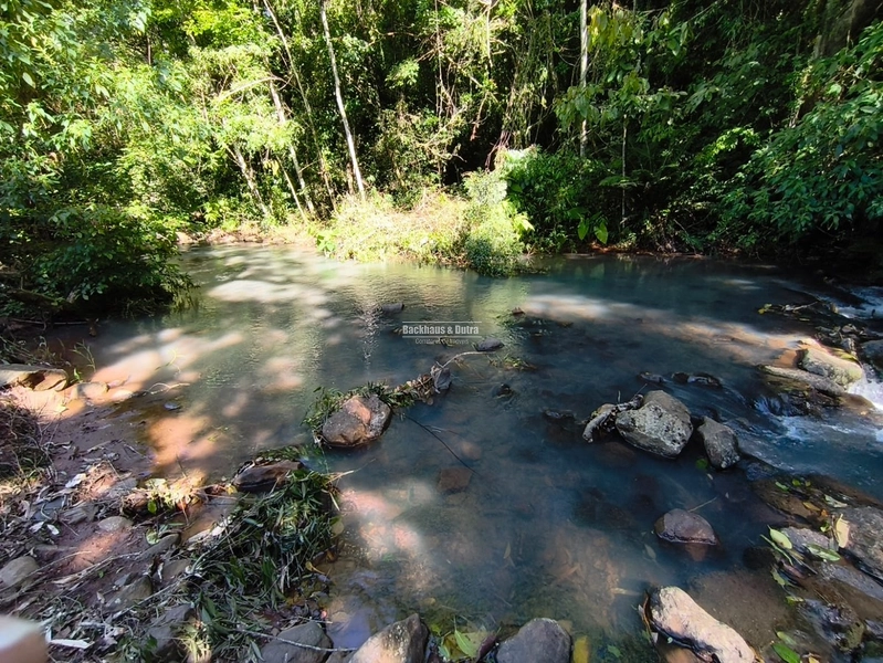 Rolante - Sítio de 30 Hectares com Infraestrutura Agrícola e Pecuária: 6ª foto da galeria de imagens do imóvel