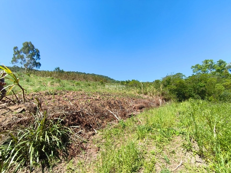 Rolante - Sítio de 30 Hectares com Infraestrutura Agrícola e Pecuária: 30ª foto da galeria de imagens do imóvel