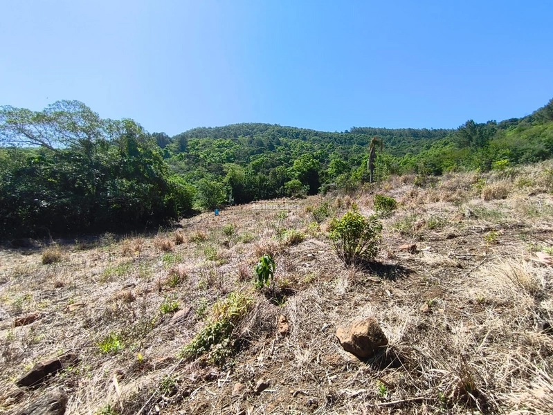 Rolante - Sítio de 30 Hectares com Infraestrutura Agrícola e Pecuária: 26ª foto da galeria de imagens do imóvel