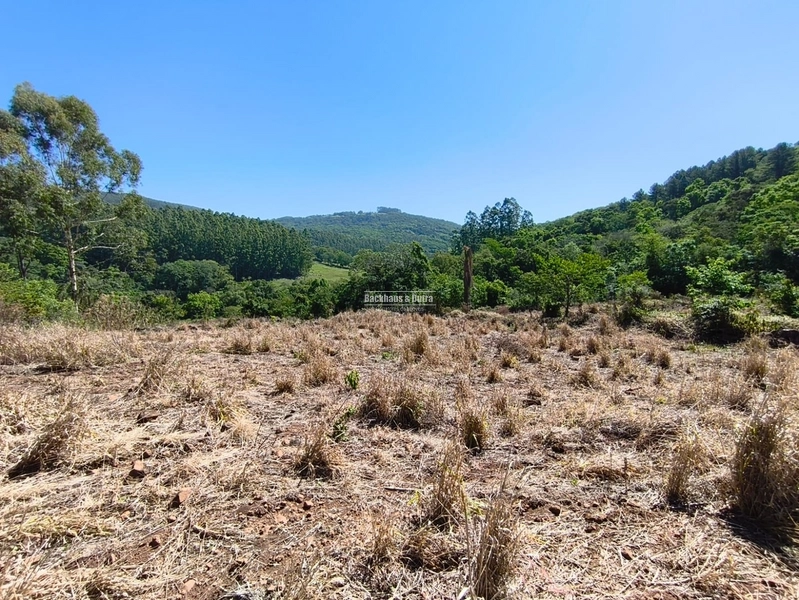 Rolante - Sítio de 30 Hectares com Infraestrutura Agrícola e Pecuária: 27ª foto da galeria de imagens do imóvel