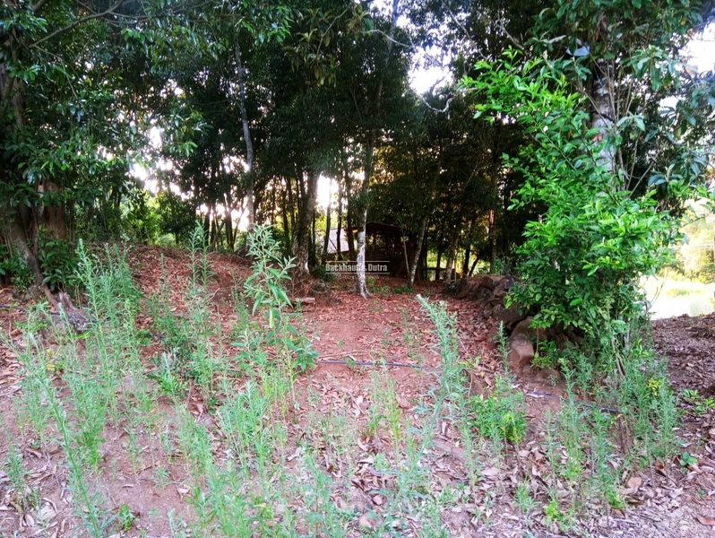 Rolante - Sítio 2 Hectares à Venda na Colônia Monge – Alto Rolantinho.: 15ª foto da galeria de imagens do imóvel