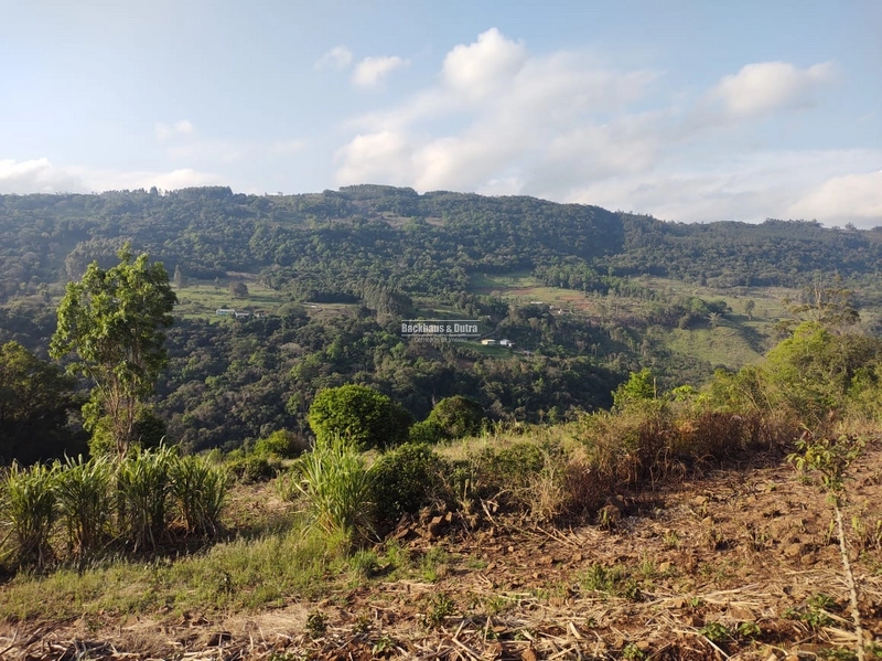 Rolante - Sítio 2 Hectares à Venda na Colônia Monge – Alto Rolantinho.: 10ª foto da galeria de imagens do imóvel