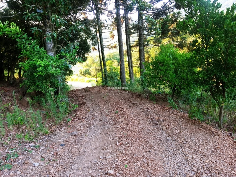Rolante - Sítio 2 Hectares à Venda na Colônia Monge – Alto Rolantinho.: 17ª foto da galeria de imagens do imóvel