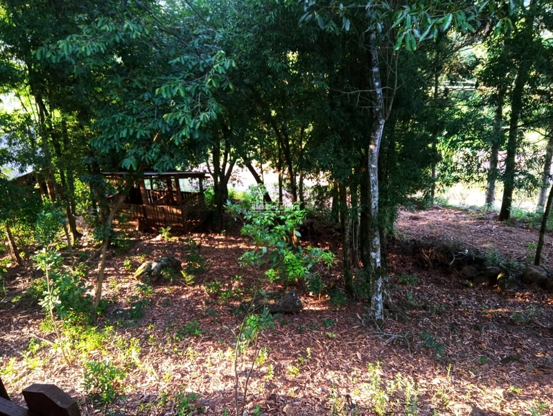 Rolante - Sítio 2 Hectares à Venda na Colônia Monge – Alto Rolantinho.: 20ª foto da galeria de imagens do imóvel