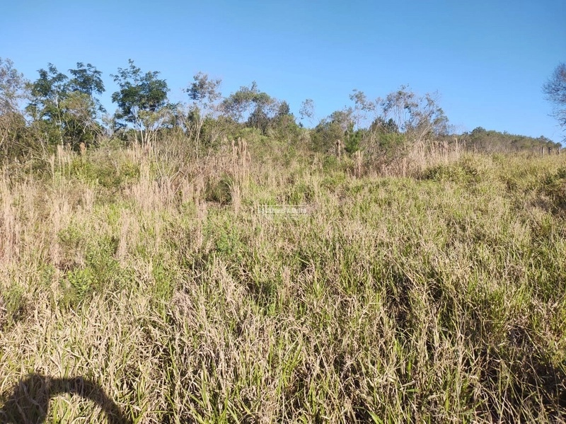 Rolante - Sítio 2 Hectares à Venda na Colônia Monge – Alto Rolantinho.: 2ª foto da galeria de imagens do imóvel
