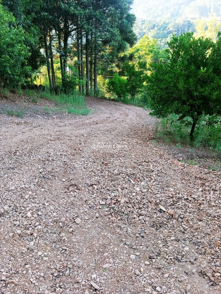 Rolante - Sítio 2 Hectares à Venda na Colônia Monge – Alto Rolantinho.: 18ª foto da galeria de imagens do imóvel