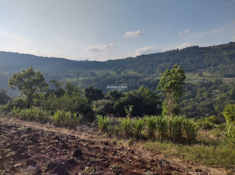 Rolante - Sítio 2 Hectares à Venda na Colônia Monge – Alto Rolantinho.: 13ª foto da galeria de imagens do imóvel