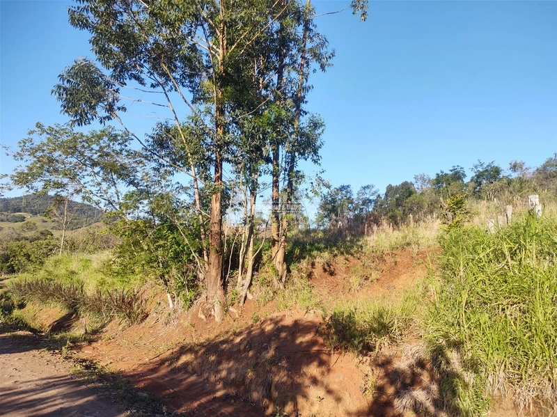Rolante - Sítio 2 Hectares à Venda na Colônia Monge – Alto Rolantinho.: 3ª foto da galeria de imagens do imóvel