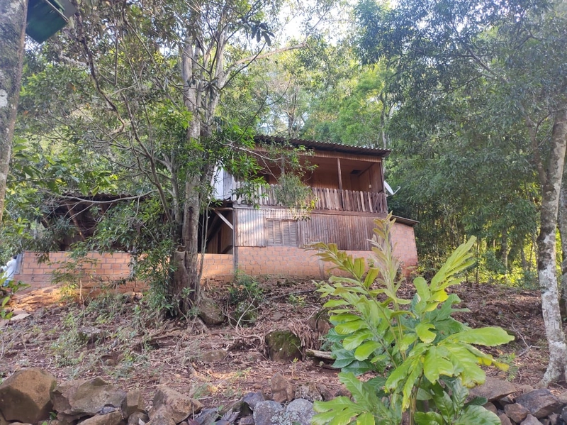 Rolante - Sítio 2 Hectares à Venda na Colônia Monge – Alto Rolantinho.: 14ª foto da galeria de imagens do imóvel