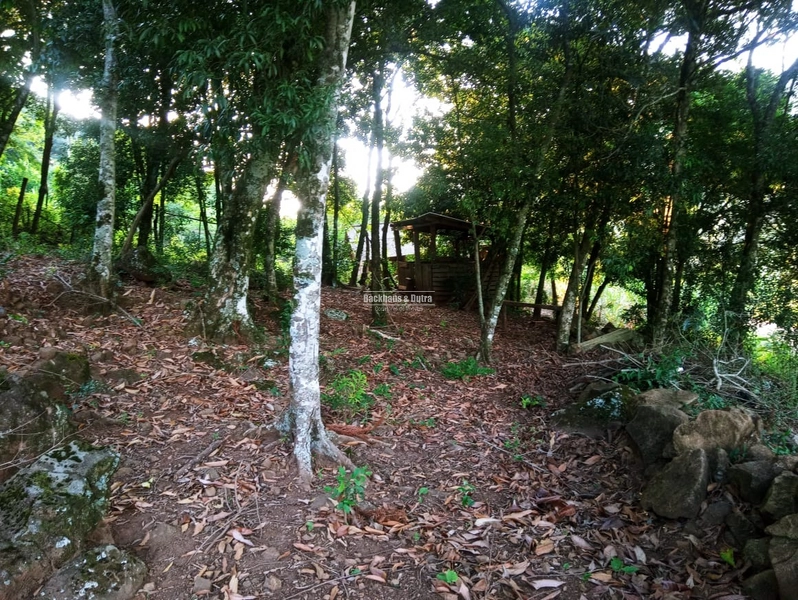 Rolante - Sítio 2 Hectares à Venda na Colônia Monge – Alto Rolantinho.: 12ª foto da galeria de imagens do imóvel