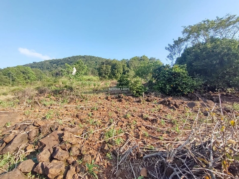 Rolante - Sítio 2 Hectares à Venda na Colônia Monge – Alto Rolantinho.: 4ª foto da galeria de imagens do imóvel
