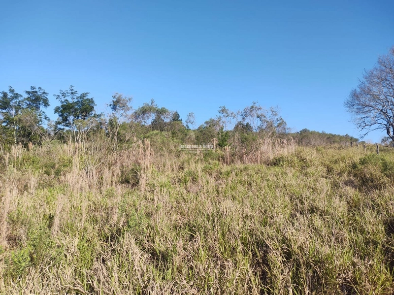 Rolante - Sítio 2 Hectares à Venda na Colônia Monge – Alto Rolantinho.: 5ª foto da galeria de imagens do imóvel