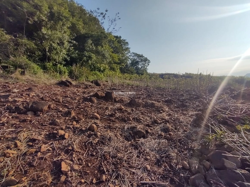 Rolante - Sítio 2 Hectares à Venda na Colônia Monge – Alto Rolantinho.: 8ª foto da galeria de imagens do imóvel