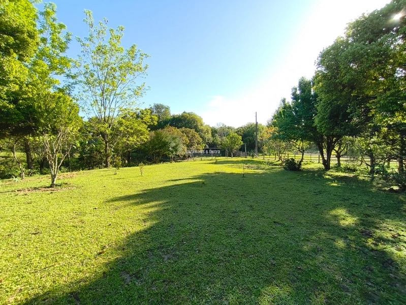 Rolante - Chácara de 2 Hectares Escriturados em Açoita Cavalo.: 8ª foto da galeria de imagens do imóvel