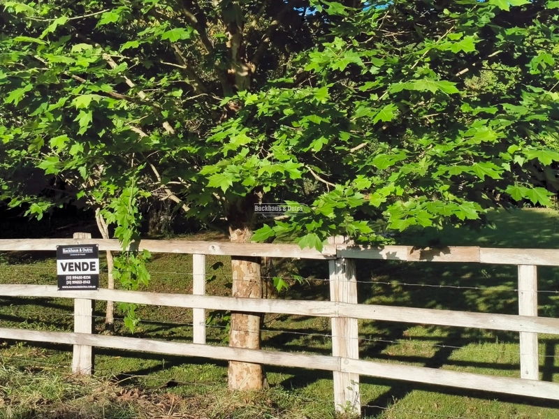 Rolante - Chácara de 2 Hectares Escriturados em Açoita Cavalo.: 6ª foto da galeria de imagens do imóvel