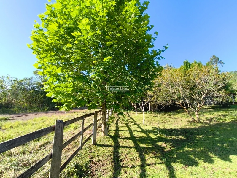 Rolante - Chácara de 2 Hectares Escriturados em Açoita Cavalo.: 11ª foto da galeria de imagens do imóvel