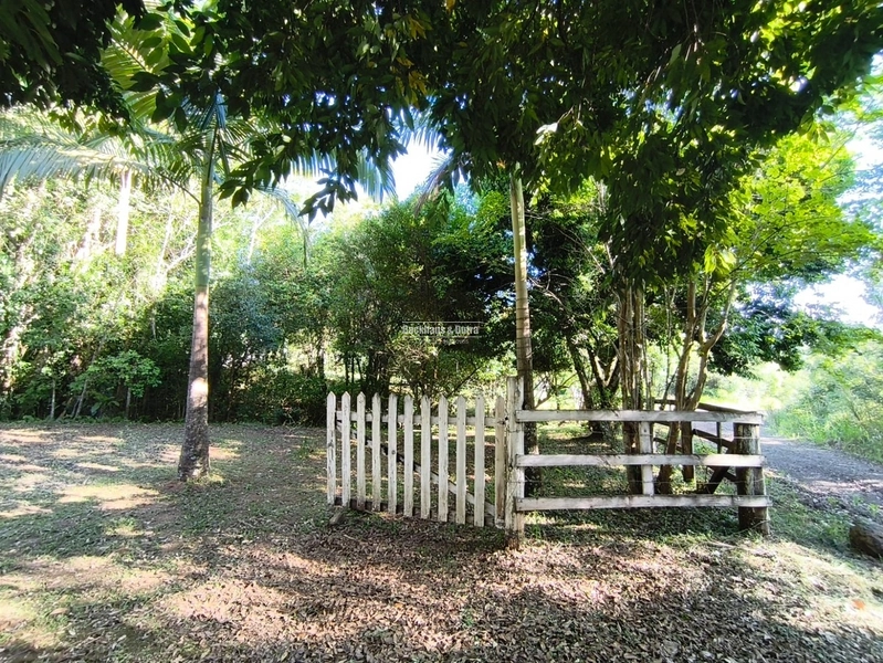 Rolante - Chácara de 2 Hectares Escriturados em Açoita Cavalo.: 14ª foto da galeria de imagens do imóvel