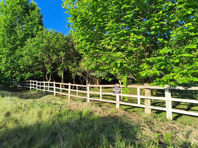 Rolante - Chácara de 2 Hectares Escriturados em Açoita Cavalo.: 5ª foto da galeria de imagens do imóvel