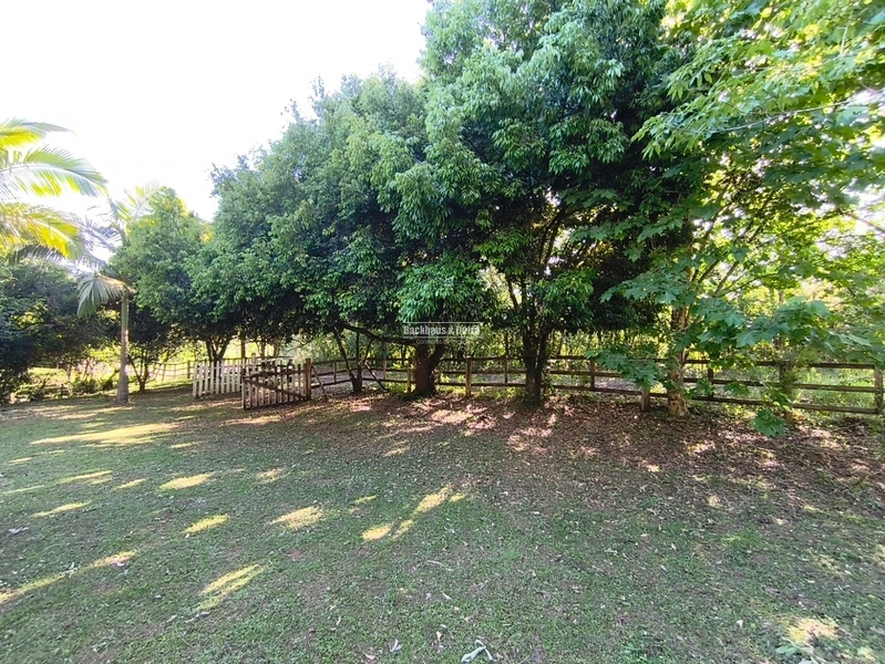 Rolante - Chácara de 2 Hectares Escriturados em Açoita Cavalo.: 15ª foto da galeria de imagens do imóvel