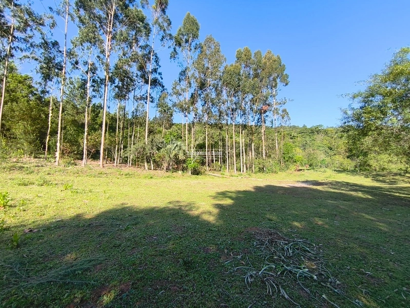 Rolante - Chácara de 2 Hectares Escriturados em Açoita Cavalo.: 17ª foto da galeria de imagens do imóvel