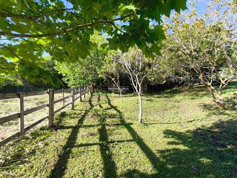 Rolante - Chácara de 2 Hectares Escriturados em Açoita Cavalo.: 7ª foto da galeria de imagens do imóvel