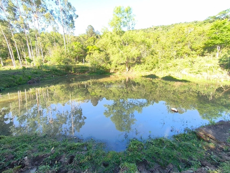 Rolante - Chácara de 2 Hectares Escriturados em Açoita Cavalo.: 4ª foto da galeria de imagens do imóvel