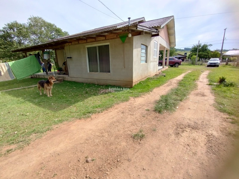 Rolante - Chácara 5.000m² com casa de alvenaria 160m² –Alto Rolantinho: 5ª foto da galeria de imagens do imóvel