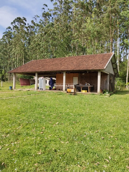 Rolante - Chácara 5.000m² com casa de alvenaria 160m² –Alto Rolantinho: 3ª foto da galeria de imagens do imóvel