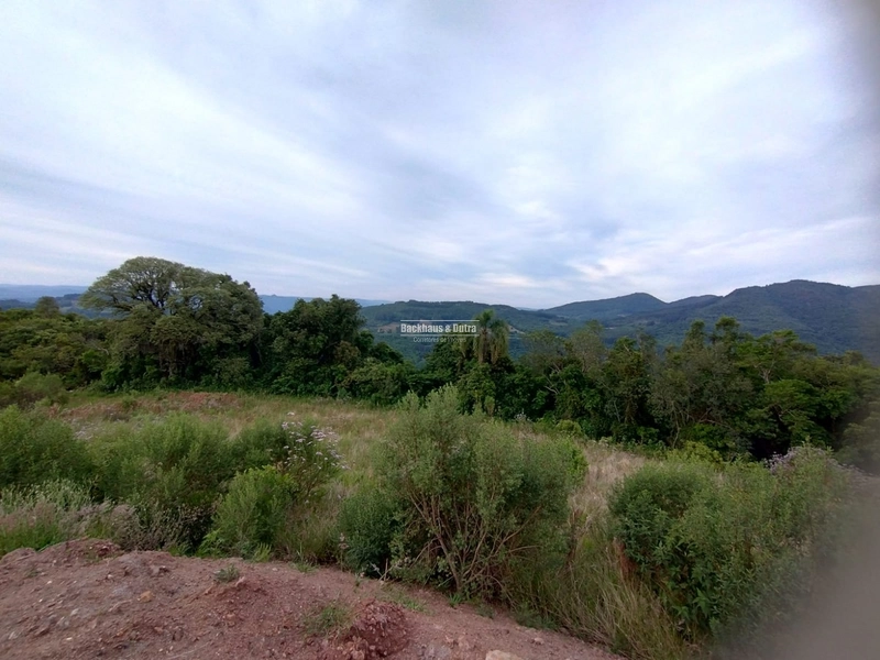 Rolante - Propriedade Rural de 12ha – Sertão do Canta Galo.: 11ª foto da galeria de imagens do imóvel