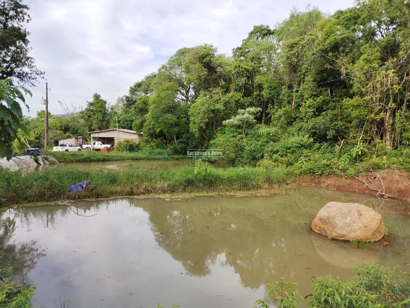 Rolante - Propriedade Rural de 12ha – Sertão do Canta Galo.: 1ª foto da galeria de imagens do imóvel