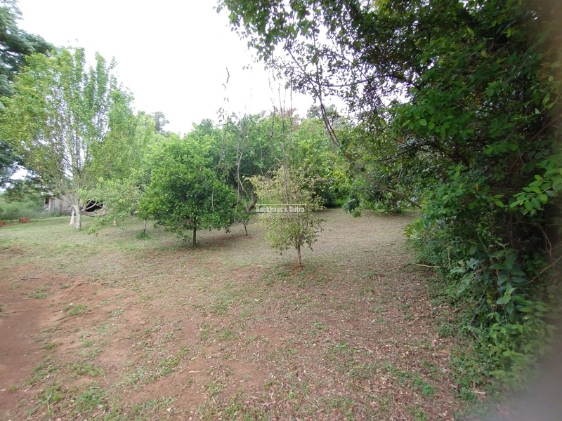 Rolante - Propriedade Rural de 12ha – Sertão do Canta Galo.: 4ª foto da galeria de imagens do imóvel