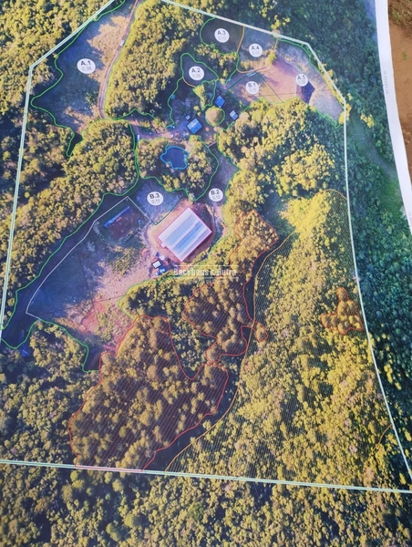 Rolante - Propriedade Rural de 12ha – Sertão do Canta Galo.: 2ª foto da galeria de imagens do imóvel