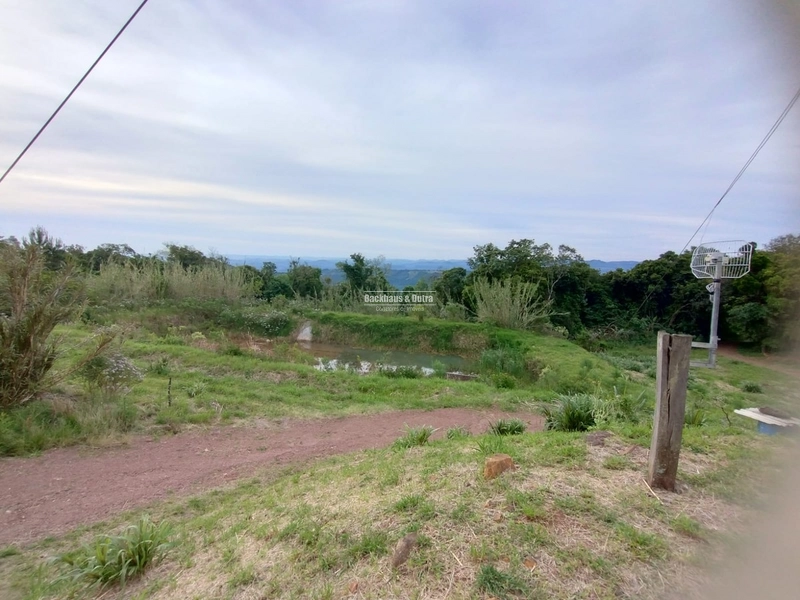 Rolante - Propriedade Rural de 12ha – Sertão do Canta Galo.: 5ª foto da galeria de imagens do imóvel